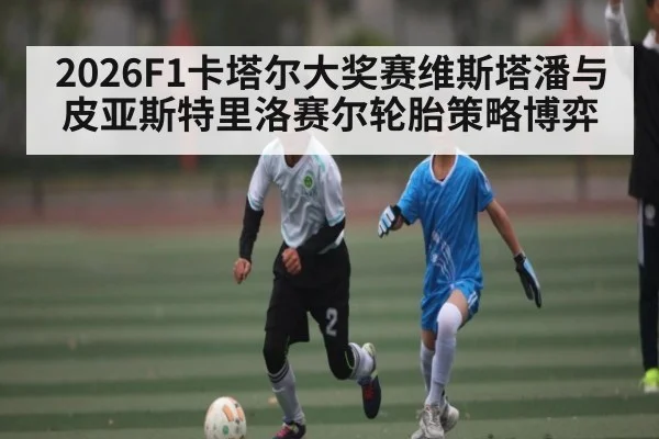 2026F1卡塔尔大奖赛维斯塔潘与皮亚斯特里洛赛尔轮胎策略博弈